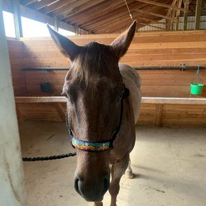 Meet your Posher, Heather